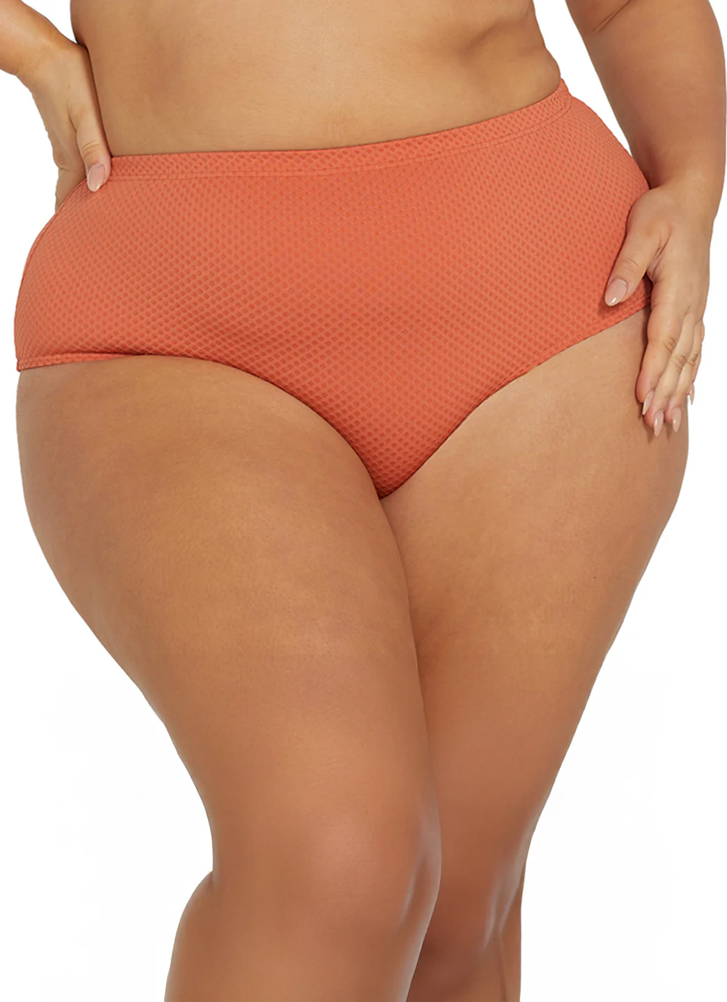 Artesands Woman's Plus Size Wuk-tjarra Renoir High Waist Bikini Bottom - Image 3