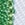 ASCA Chevron Backstroke - Image 8