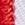 ASCA Chevron Freestyle - Image 2