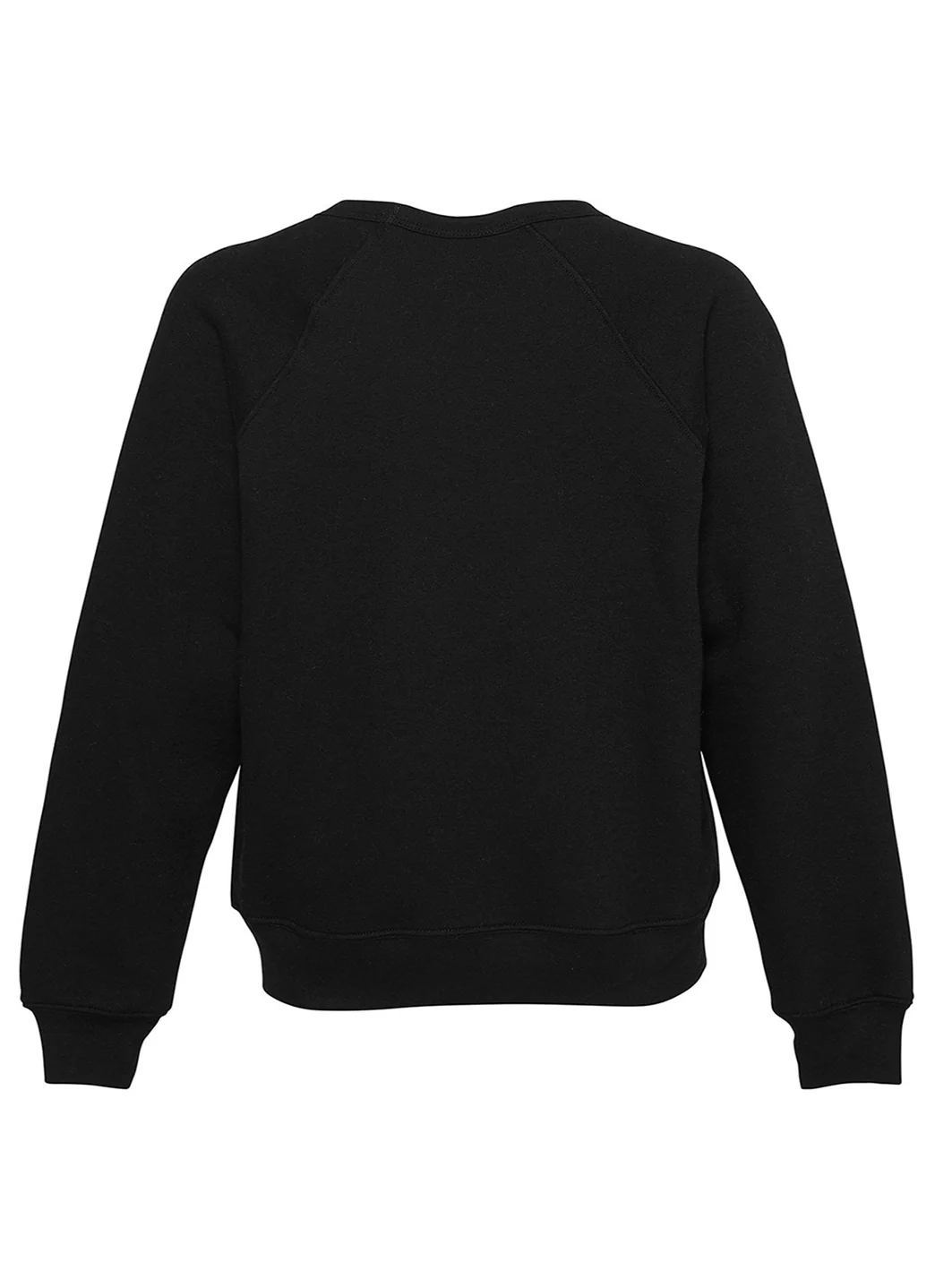 Bella + Canvas Youth Sponge Fleece Raglan Sweatshirt - Image 16