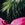 Body Glove Women's Tropical Island Brasilia Tie Side Bikini Bottom - Image 5