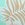 Body Glove Women's Wahine Olivia Bikini Top - Image 5
