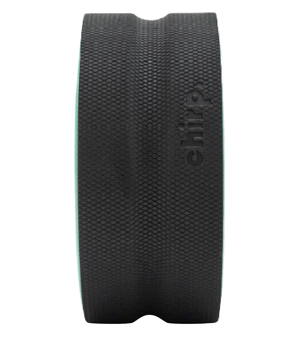 Chirp 10" Chirp Wheel - Image 3