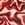 Dolfin Women's Xtrasleek Surge Print V2 Back One Piece Swimsuit - Image 5