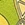 FINIS DragonFly Goggles - Image 26
