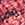 iSwim Spirit Wide Strap One Piece Swimsuit Youth (22-28) - Image 7