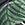 Jantzen Women's Boho Palms Vera Surplice Bikini Top - Image 4