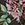 Johnny Was Women's Black Butterfly Kimono - Image 8