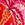 Johnny Was Women's Zahara Short Kimono - Image 7