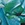 JOLYN Women's Anique Palmfrond Water Polo Suit - Image 5