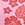 JOLYN Women's Hibiscus Haze Jocelyn Printed Bikini Top - Image 7