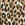 Kate Spade Women's Leopard Heart Buckle Halter One Piece Swimsuit - Image 6