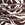 La Blanca Women's Plus Fierce Lines Cross Back One Piece Swimsuit - Image 3