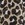 Michael Kors Women's Graphic Cheetah Caftan Cover Up - Image 4