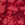 NUX Be Free Tank Crystal Dye - Image 5