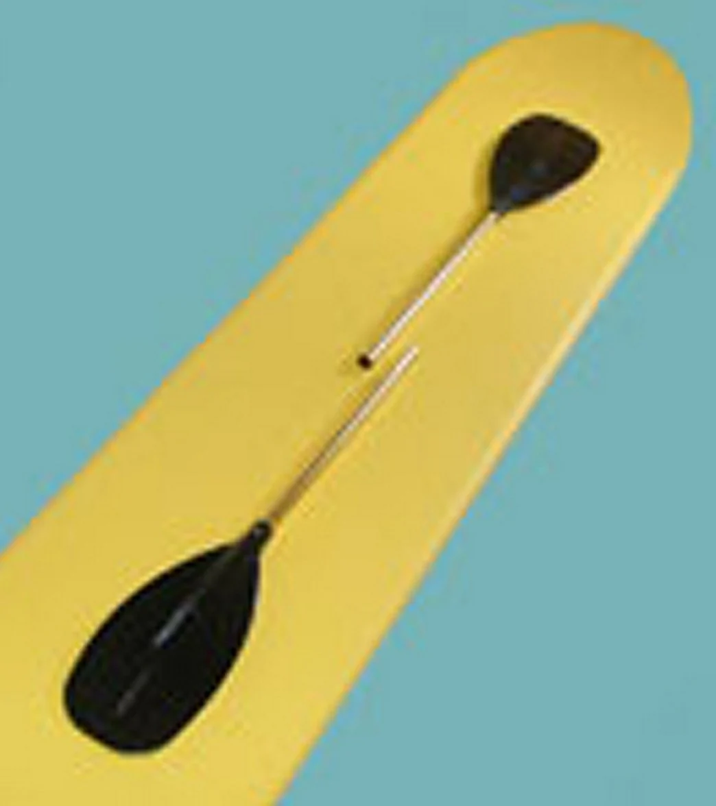Paddlebuoy Two Piece Swimsuit Paddle