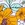 Raisins Women's Flower Child Sweet Side Bikini Bottom - Image 4