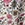 Rip Curl Girls' Hibiscus Heat Romper (Big Kid) - Image 2