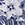 Roxanne Women's Bra Sized Chlorine Resistant Tropic Bloom Blouson One Piece Swimsuit (C/D/DD Cup) - Image 3
