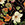 Slowtide Whisp Performance Quick-Dry Travel Towel - Image 4