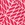 Snapper Rock Boys' Nautical Knots Red Volley Board Short (Toddler, Little Kid, Big Kid) - Image 8