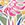 Sporti Active Tropical Palm One Piece L/S Zip Front - Image 6