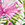 Sporti Unitard Palm Royale One Piece Swimsuit - Image 15