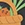 Sporti Veggies Silicone Swim Cap - Image 8