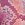 Sporti x Gretchen Walsh Desert Python Jammer Swimsuit (26-40) - Image 12
