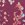 Sporti x Gretchen Walsh Desert Python Tracy Double Strap Bikini Bottom - Image 16