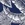 Tommy Bahama Women's Island Cays Palms Reversible Shirred Bikini Bottom - Image 6
