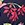 Tommy Bahama Women's Summer Floral Reversible Halter Top - Image 8