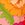 Trina Turk Women's Sunny Bloom Underwire One Piece Swimsuit - Image 4
