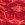 TYR Boys' Agran Wave Racer Brief Swimsuit - Image 12