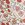 Volcom Women's Flower Trip Cheeky Bikini Bottom - Image 4